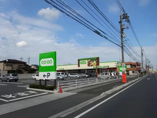 星野ハイツ【2階】の周辺