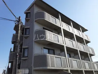 アモローソ溝ノ口の画像