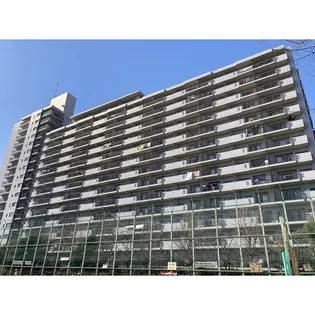 コア スターレ西大井の画像