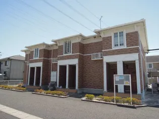 カーヤ サミーCの画像