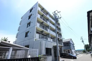 ソラリオン根本の画像