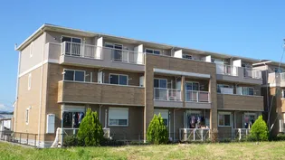 マオリッツの画像