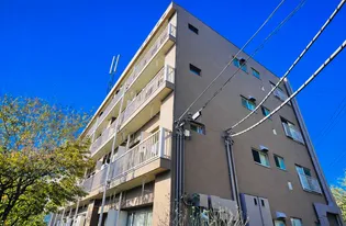 高石サロンの画像