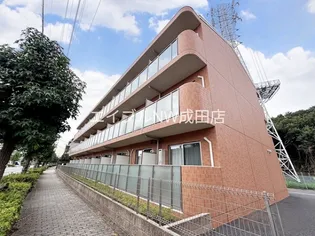 アリエッタの画像