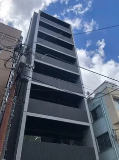 CHIEN VIVERRINの画像