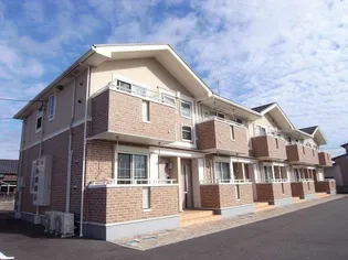 ハピネス向日葵の画像