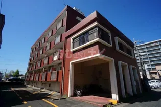 コア サントリの画像