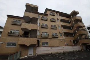 シャンポール幹Ⅱの画像