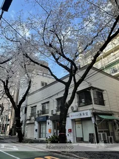 東京都豊島区南大塚3【アパート】の外観