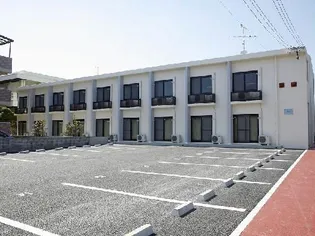 MOMOの画像