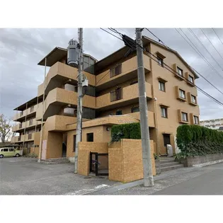 グラン リーオ辰巳台の画像