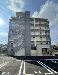 ニュー和ハイツ【6階】の外観