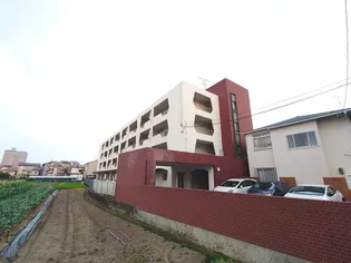 ロイヤルハイツ藤田【4階】の外観