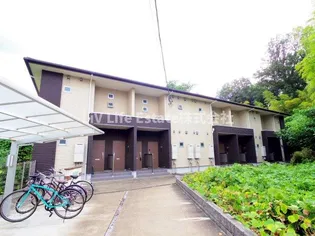 デュラカーサ コブシIIの画像