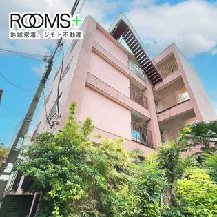 ハイムママタの画像