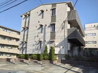 アゼリアの画像