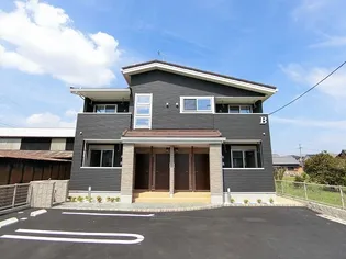 プリムローズBの画像