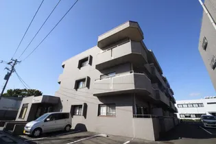 マニフィック ベア霞の画像