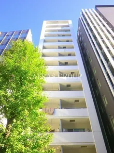 コンフォリア浅草駒形の画像