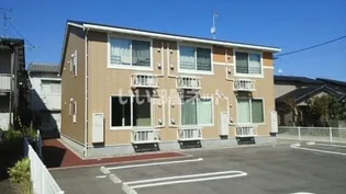 ベラドンナの画像