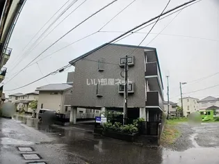 土佐っ子参拾壱番館の画像