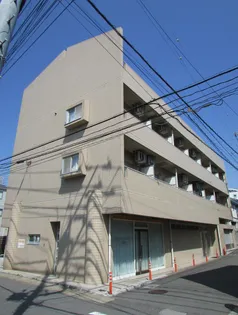 セイクリッド トゥリーの画像