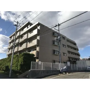 宮城県仙台市太白区泉崎2【マンション】の外観