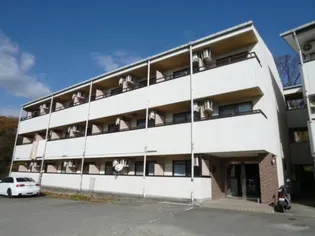 ヴィラ・フェザント【3階】の外観