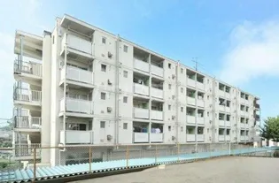 ビレッジハウス向ヶ丘7号棟【4階】の外観