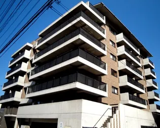 ラフィーネの画像