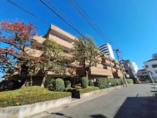 スターロワイヤル雪谷【5階】の外観