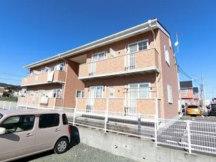 ボニートの画像