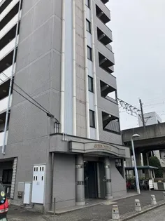 グリン ミライの画像