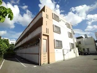 セリバルT Sの画像