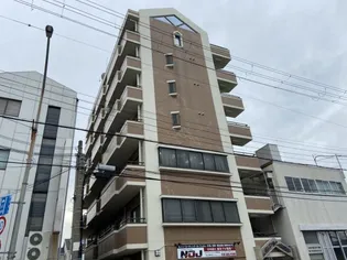 ヌーベルフルーブの画像