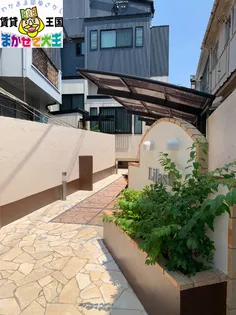 リラIIの画像