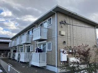 ドルチェの画像