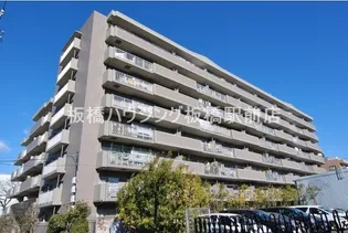 ライネスハイム志村の画像