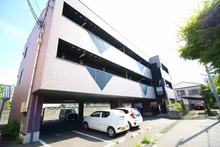 パフィオの画像