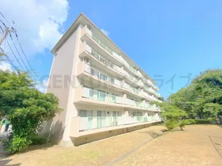 中山五月台10号棟の画像