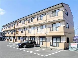 メイスコーレの画像