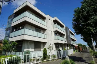 エレガンス湘南の画像