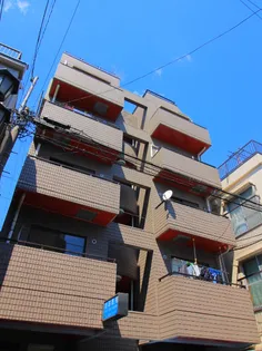 コラゾンの画像