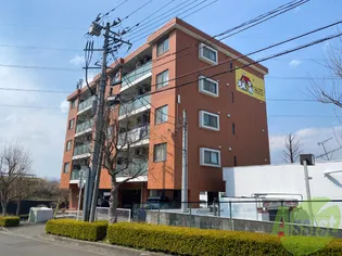 渡幸ベルメゾンDOG&CATの画像