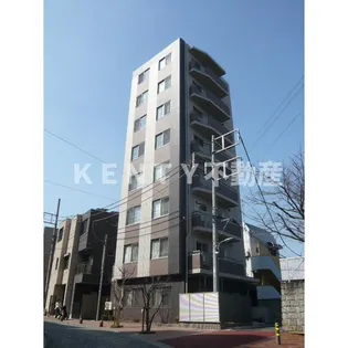 STELLA SENDAIZAKAの画像