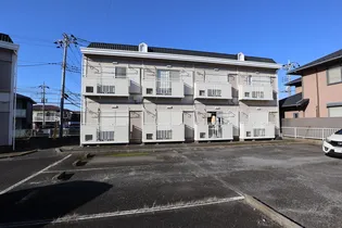 ヴィオラAの画像