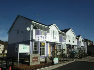 ピペールの画像