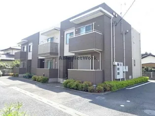 レフィーノの画像