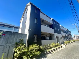 SHELL POOL Vの画像