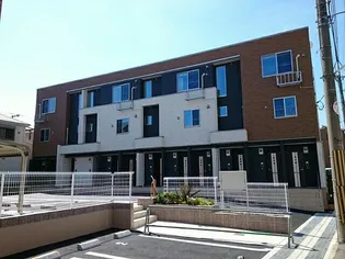 キャンファーウッドの画像